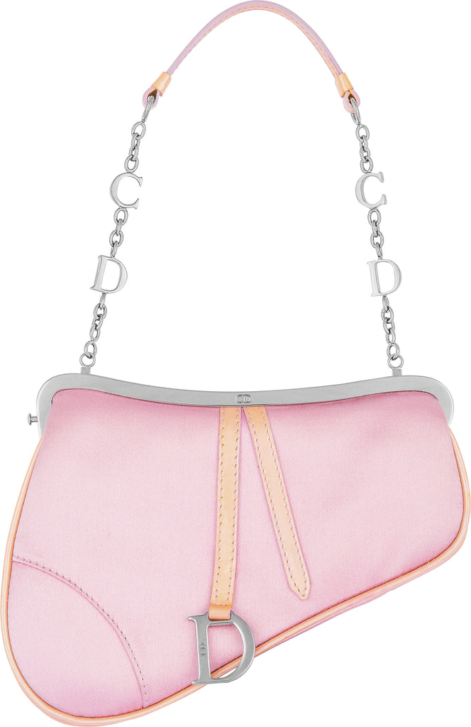 Dior Saddle Mini Pink - Designer WishBags