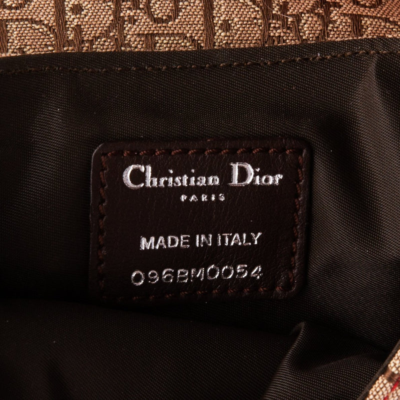 Christian Dior Rasta Saddle Belt Bag