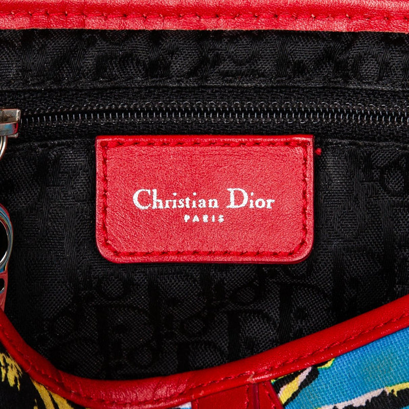 Christian Dior Rasta Mania Limited Edition Saddle Bag