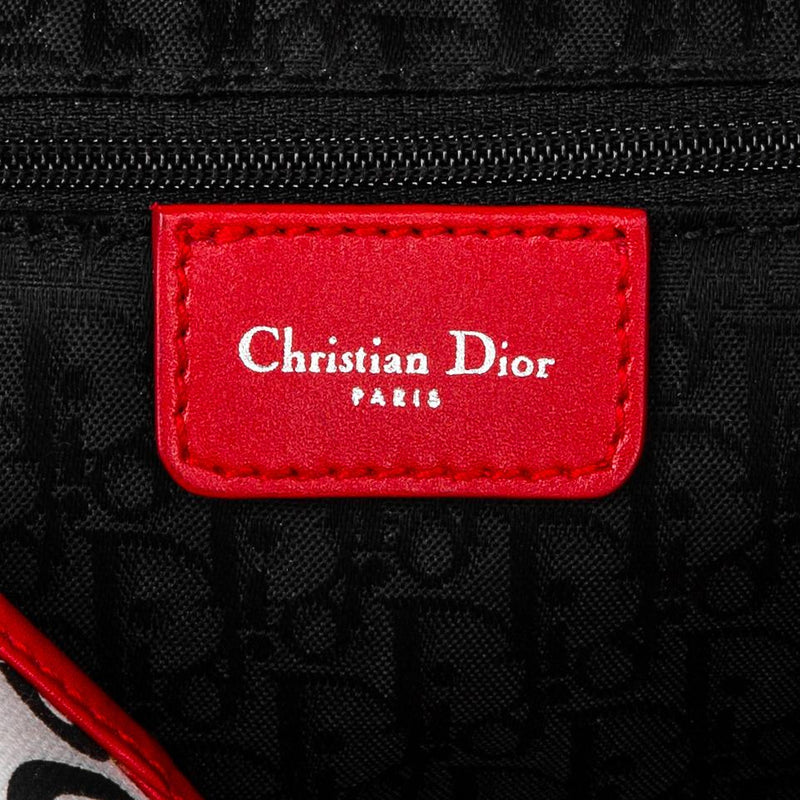 Christian Dior Hardcore Dior Limited Edition Saddle Bag
